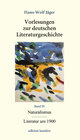Buchcover Vorlesungen zur deutschen Literaturgeschichte. Bd. IX Naturalismus/ Literatur um 1900