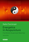 Buchcover Energetics in Acupuncture