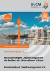 Buchcover Mit nachhaltigem Credit Management die Resilienz der Unternehmen stärken