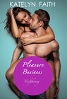 Buchcover Pleasure Business - Verführung