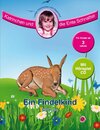 Buchcover Ein Findelkind