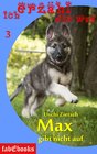 Buchcover Ich erzähl dir was 3: Max gibt nicht auf