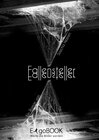 Buchcover Fallensteller