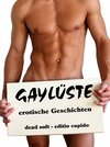 Buchcover Gaylüste