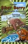 Buchcover Biber Berry und die wertvollen Geheimnisse