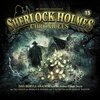 Buchcover Sherlock Holmes Chronicles 15