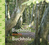 Buchcover Buchholz meets Buchholz