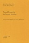 Buchcover Lexical Semantics in Ancient Egyptian