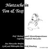 Buchcover Nietzsche in Ton und Text