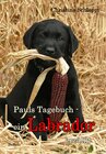 Buchcover Pauls Tagebuch - ein Labrador erzählt