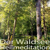Buchcover Der Waldsee