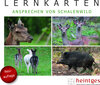 Buchcover Lernkarten Ansprechen von Schalenwild