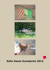 Buchcover Sella Hasse Kunstpreis 2012