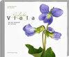 Buchcover Geliebte Viola