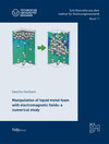 Buchcover Manipulation of liquid metal foam with electromagnetic fields: a numerical study