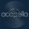 Buchcover Acapella Gospel