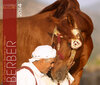 Buchcover Berber Pferde Kalender 2014