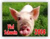 Buchcover Viel Schwein 2014