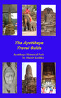 Buchcover The Ayutthaya Travel Guide