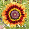 Buchcover Blüten 2018