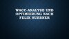 Buchcover WACC-Analyse und ‑Optimierung nach Felix Huebner