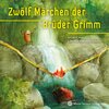 Buchcover Zwölf Märchen der Brüder Grimm