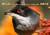 Buchcover Birds of the canarian islands