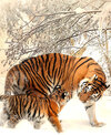 Buchcover Fantasy Notizbuch: Tiger im Schnee - weiße Seiten mit Eckmotiv
