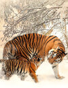 Buchcover Fantasy Notizbuch 14: Tiger im Schnee