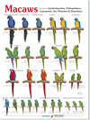 Buchcover Macaws