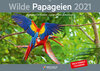 Buchcover Kalender Wilde Papageien 2021 Din A3 Querformat