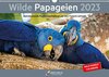 Buchcover Wilde Papageien 2023