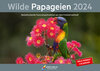 Buchcover Wilde Papageien 2024