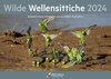 Buchcover Kalender Wilde Wellensittiche 2024