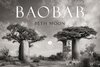 Buchcover BAOBAB: Meine Reise zu den ältesten Lebewesen und Waldwächtern