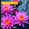 Buchcover Aquarupella 2017 Lotus