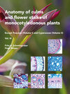 Buchcover Anatomy of culms and flower stalks of monocotyledonous plants, Volume 3