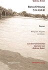 Buchcover Banus Erlösung 巴奴的救赎