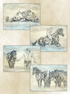 Buchcover Poster-Set "Horsemanship"