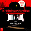 Buchcover Die Blackstone Chroniken / Das Irrenhaus