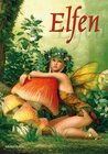Buchcover Elfen - Volume 1
