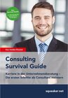 Buchcover Consulting Survival Guide / Squeaker.net