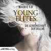 Buchcover Young Elites - Die Gemeinschaft der Dolche