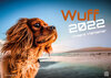 Buchcover Wuff - Unsere Vierbeiner - Der Hundekalender- 2022 - Kalender DIN A2