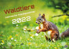 Buchcover Waldtiere - Heimische Waldbewohner - Der Tierkalender - 2022 - Kalender DIN A2