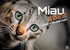 Buchcover Miau - Unsere Stubentiger - Der Katzenkalender - 2022 - Kalender DIN A2