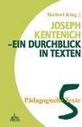 Buchcover Joseph Kentenich - ein Durchblick in Texten