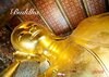 Buchcover Buddha 2018