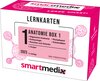 Buchcover SmartMedix Lernkarten Anatomie Box 1: Allgemeine Anatomie, Embryologie, Knochen und Gelenke, Rumpfwand und Extremitäten