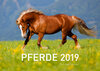 Buchcover Pferde Exklusivkalender 2019 (Limited Edition)